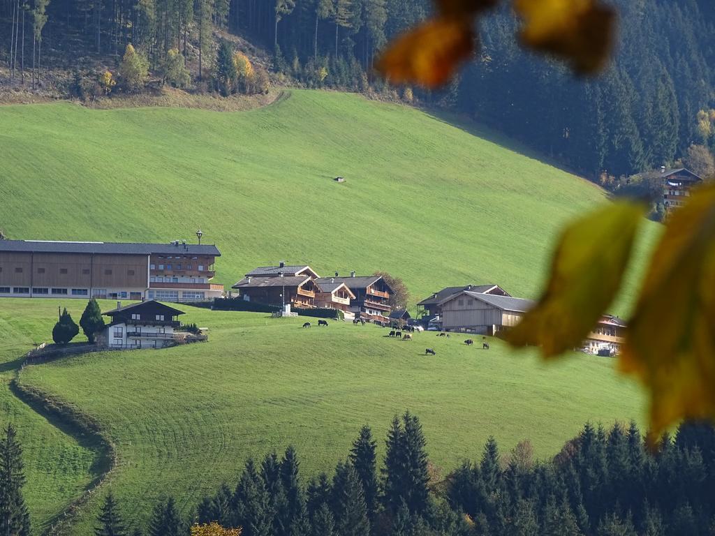 Anna'S Appartement Alpbach Dış mekan fotoğraf