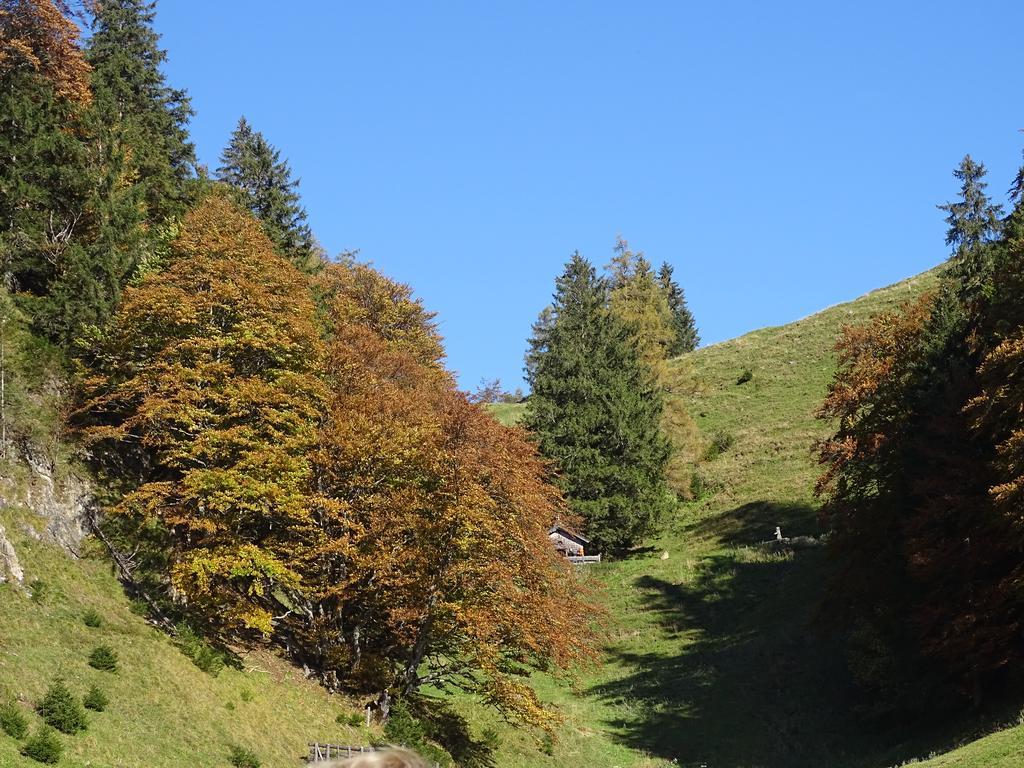 Anna'S Appartement Alpbach Dış mekan fotoğraf