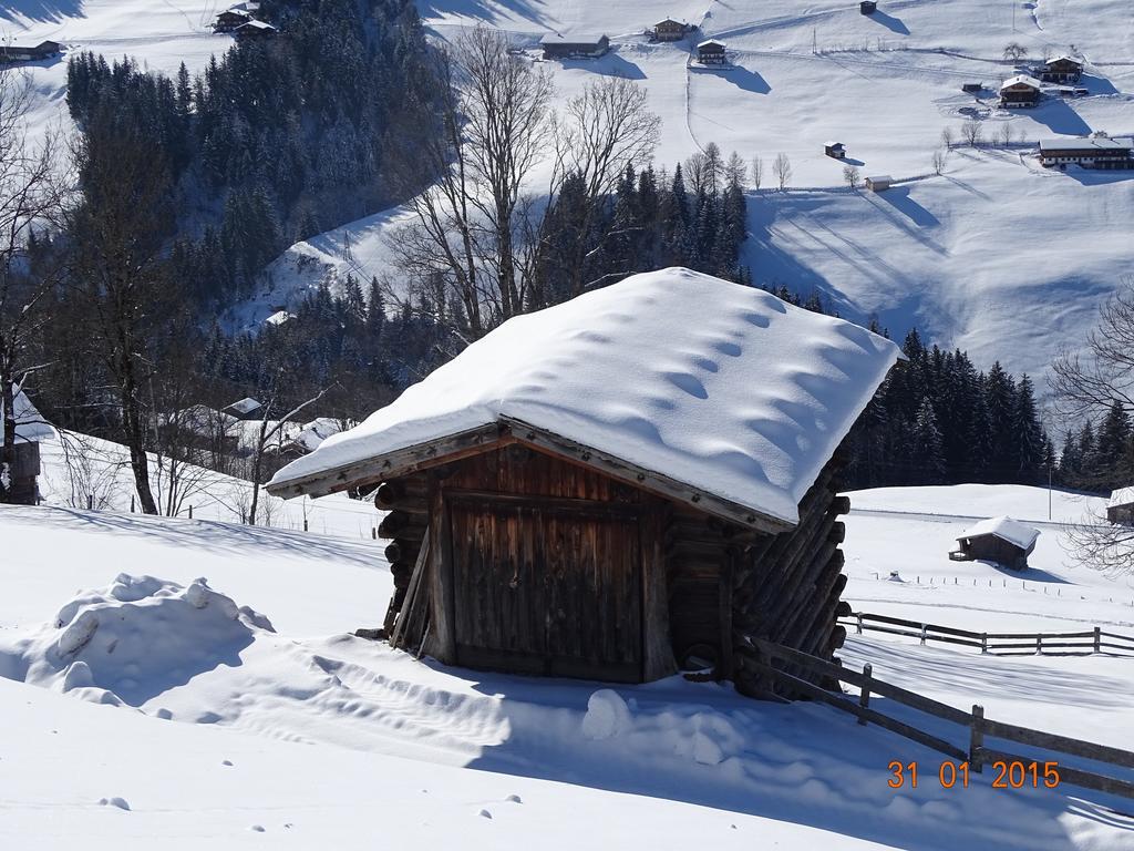 Anna'S Appartement Alpbach Dış mekan fotoğraf