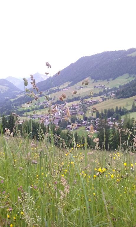 Anna'S Appartement Alpbach Dış mekan fotoğraf