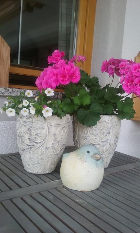Anna'S Appartement Alpbach Dış mekan fotoğraf