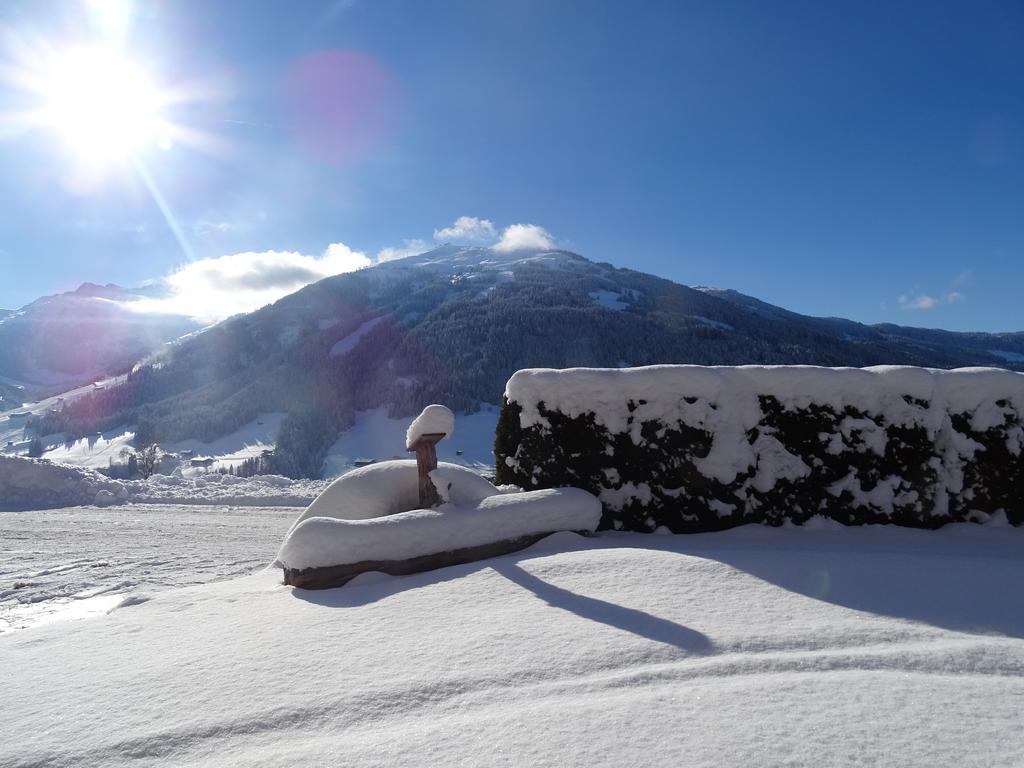 Anna'S Appartement Alpbach Dış mekan fotoğraf