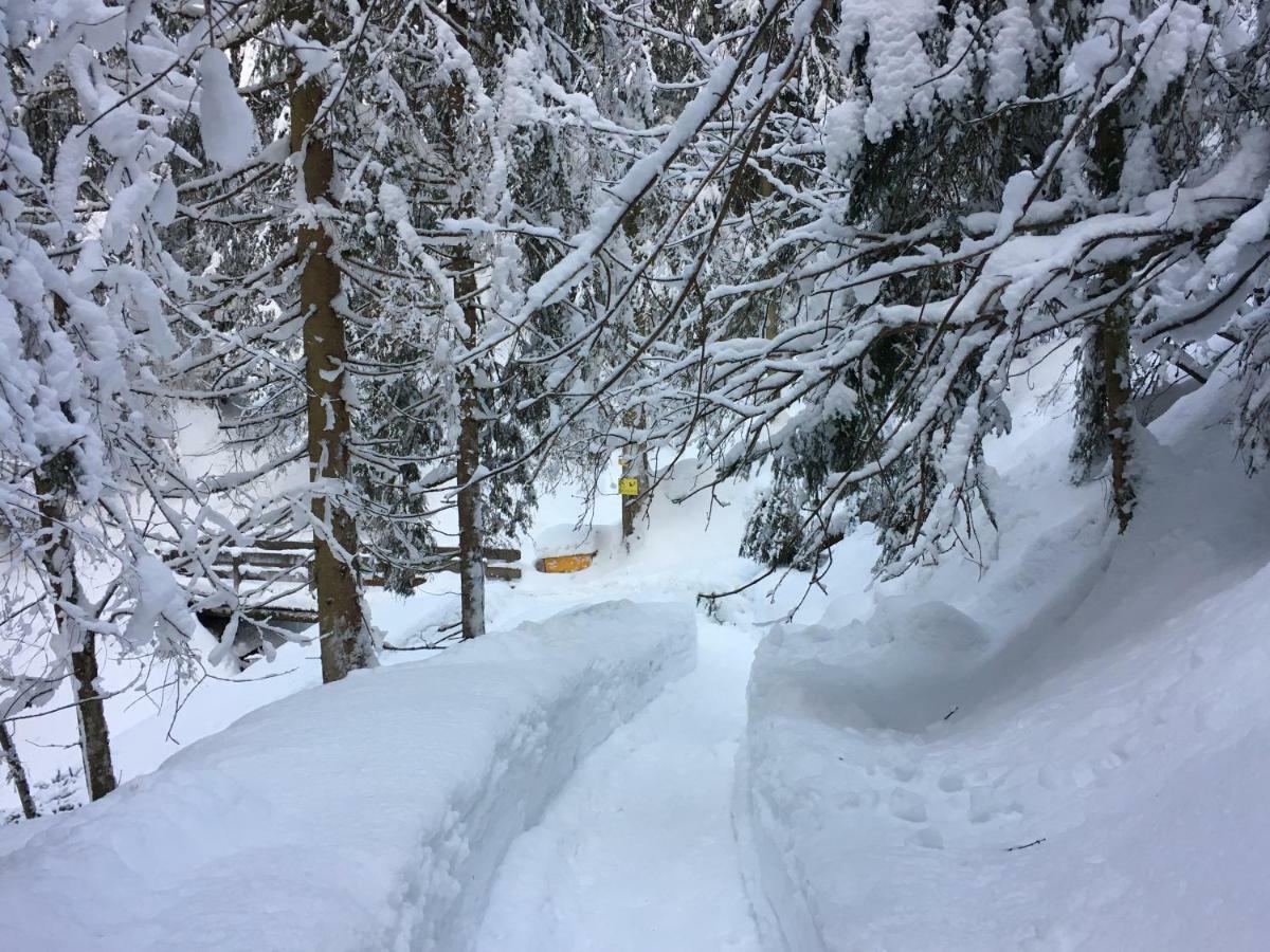 Anna'S Appartement Alpbach Dış mekan fotoğraf